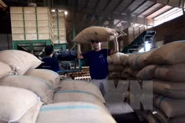 Exportaciones agrícolas de Vietnam disminuyen en enero de 2017