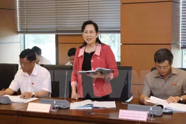 Parlamento vietnamita revisa Ley de Planificación y solución de deudas malas