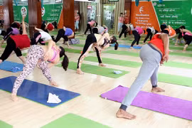 Yoga masivo en ciudad vietnamita por Día Internacional de la disciplina