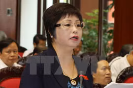 Inician en Vietnam procedimiento legal contra exdiputada por fraude comercial 
