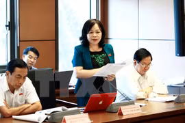Parlamento vietnamita estudia agenda legislativa de 2017 y 2018 
