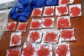 Incautan gran cantidad de drogas en frontera Vietnam- Laos