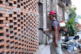 Hospitales en Hanoi refuerzan lucha contra el dengue