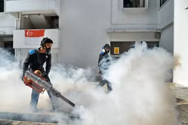 Singapur confirma dos casos nuevos de Zika 