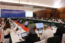 APEC 2017: delegados sugieren aprovechar oportunidades generadas por era digital