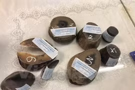 Incautan cuatro kilogramos de cuernos de rinocerontes en Tan Son Nhat