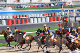 Gobierno vietnamita avala apuestas en carreras de perros y caballos 