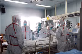 Detectan casos de gripe aviar en zona china adyacente a Vietnam