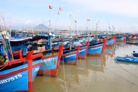 Provincia vietnamita impulsa estrategia nacional de economía marítima
