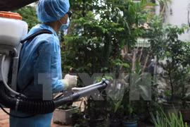 Provincia survietnamita anuncia epidemia de Zika 