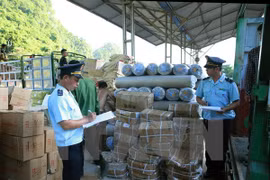 Portal electrónico acelera actividades de importación y exportación en Vietnam