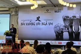 Vietnam lanza campaña de concienciación contra comercio de colmillos de elefantes 
