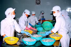 Vietnam pide a Australia eliminar pronto suspensión a importación de camarones