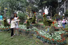 Más de 800 mil personas asistieron a Festival de Flores en Ciudad Ho Chi Minh 