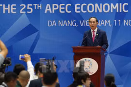 APEC 2017: Aprueban la Declaración de Da Nang