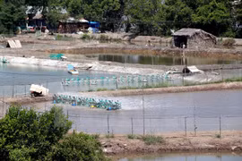 Proyecto de adaptación al cambio climático beneficia a provincia de Ben Tre