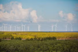  Sector de energía eólica en Vietnam acapara atención de inversores extranjeros
