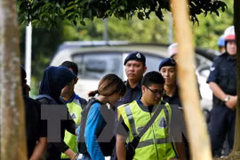Vietnam continúa protegiendo derechos de ciudadana arrestada en Malasia 