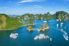 Vietnam espera atraer más visitantes estadounidenses con Feria Internacional de Turismo