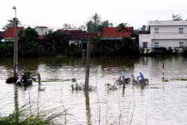 Asciende a 89 número de muertos en Vietnam por tifón Damrey