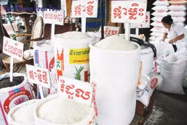 Exportación arrocera de Camboya alcanza récord 