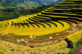 Promueven turismo en la región del Noroeste de Vietnam 