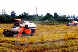 Inauguran Exposición internacional de agricultura en Vietnam