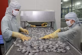 Vietnam por remontar sus exportaciones acuícolas en 2017