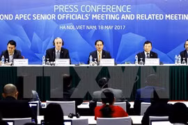 Resaltan papel impulsor de Vietnam de proceso de globalización en el APEC