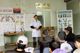 Vietnam avanza en lucha contra sida, tuberculosis y malaria