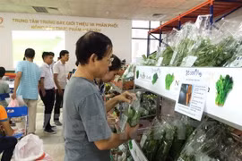 Ayudan a empresas vietnamitas en garantía de inocuidad alimentaria