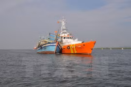 Rescatan a marineros vietnamitas accidentados en el mar 