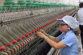 Empresas de India buscan impulsar exportaciones de maquinaria textil a Vietnam