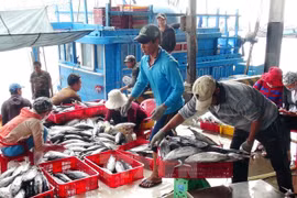 Vietnam continúa proceso de compensación a afectados por incidente ambiental