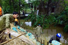  Continúan en Vietnam actividades de apoyo a víctimas de inundaciones