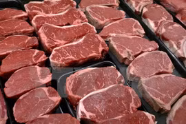 Proponen en Vietnam suspensión de importación de carne de Brasil