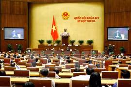 Asamblea Nacional de Vietnam analiza leyes de denuncias y gestión de bienes públicos