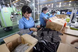 Vietnam y Sudáfrica promueven cooperación comercial y turística 