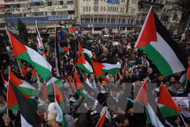Palestina aboga por solución pacífica al conflicto con Israel