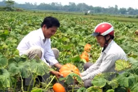 Hanoi moviliza fondos para construcción de nuevas zonas rurales