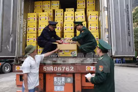 Vietnam y China refuerza cooperación en lucha contra contrabando 