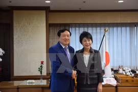 Robustecen lazos Vietnam- Japón en reforma judicial