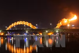 Turismo de Da Nang listo para aprovechar oportunidades de Año del APEC 2017 