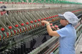 Empresas europeas optimistas sobre la evolución de su negocio en Vietnam