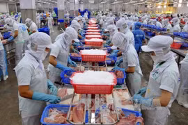 Vicepremier vietnamita pide promover marca de pescado Tra