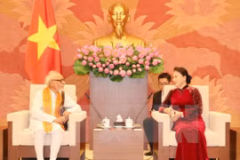 Vietnam e India fortalecen solidaridad