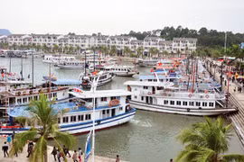 Provincia vietnamita de Quang Ninh prevé crecimiento económico superior a 10 por ciento