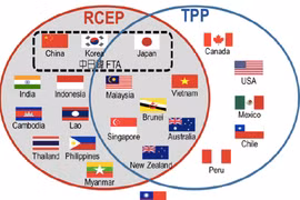 Realizan negociaciones en India sobre RCEP