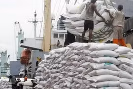 Myanmar busca expandir su mercado de arroz hacia Pakistán
