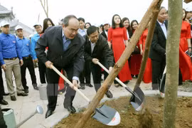 Promueven en Vietnam el movimiento de protección forestal